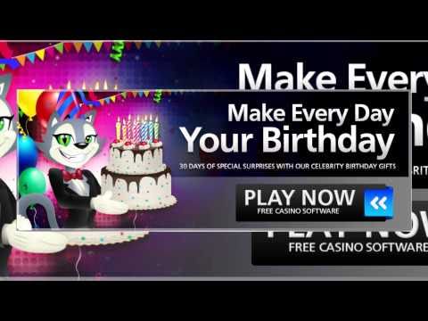 cool cat casino